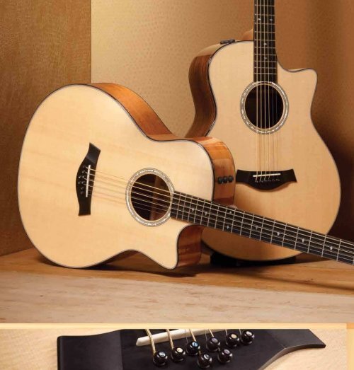 Die Taylor Produktlinie 2012 - Taylor Guitars