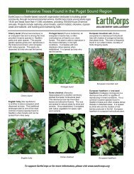 Invasive and Native Trees of the Pacific Northwest - EarthCorps