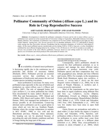 Title: Pollinator community of onion (Allium cepa L - Zsp.com.pk