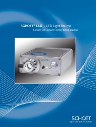 SCHOTTÂ® LLS - LED Light Source - BRSL