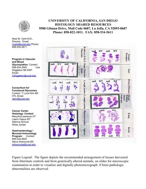 university of california, san diego histology shared resources