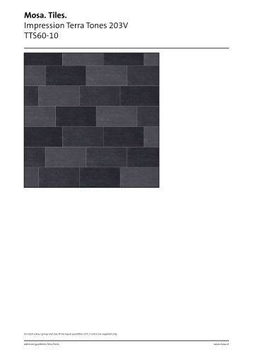 Mosa. Tiles. Impression Terra Tones 203V TTS60-10