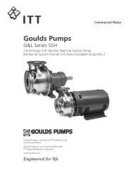 Goulds Pumps - CEXI
