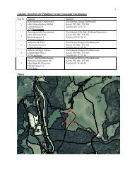 Zeltplatz-Angebote fÃƒÂ¼r Pfadilager in der Gemeinde Zweisimmen Plan 1