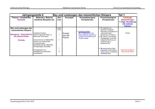 Curriculum Biologie Jahrgangsstufe 6 Pdf Sta Dtisches Gymnasium