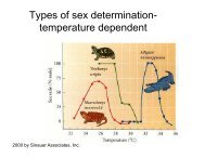 Types of sex determination- temperature dependent