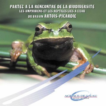Les amphibiens et les reptiles liÃ©s Ã  l'eau du bassin Artois Picardie