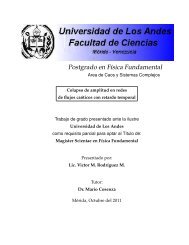 Postgrado en FÃ­sica Fundamental - Universidad de Los Andes