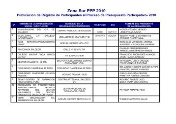 Zona Sur- PPP 2010 - Municipalidad Provincial de Puno