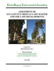 Eucalyptus Tree Assessment Report - David Magney Environmental ...