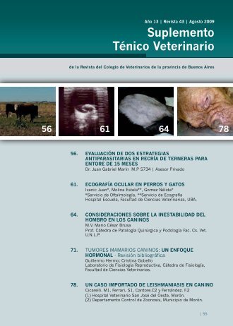 Suplemento TÃ©nico Veterinario - Colegio de Veterinarios de la ...