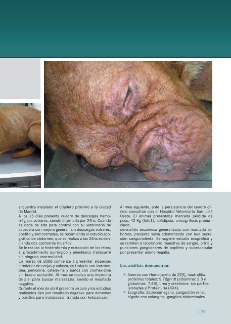 Suplemento TÃ©nico Veterinario - Colegio de Veterinarios de la ...