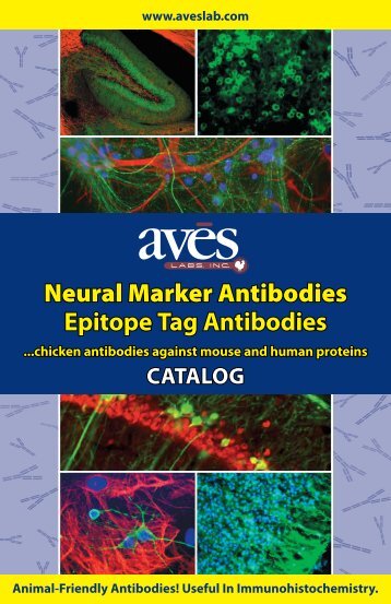 to download our Catalog (PDF File - Aves Labs