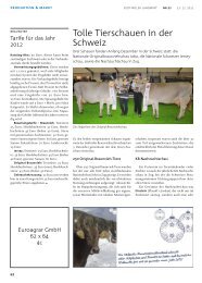 Tolle Tierschauen in der Schweiz - Südtiroler Braunviehzuchtverband