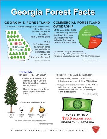 2002 Forest Fact Sheet - the Georgia Agriculture Curriculum ...