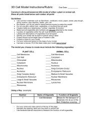 24 Looking Inside Cells Worksheet Answers - Worksheet Source 2021