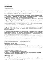 Marco Galloni Curriculum vitae - unito . it - Università degli Studi di ...