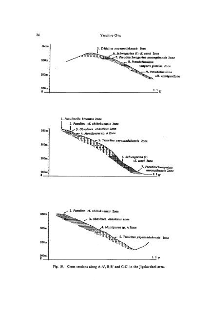 Biostratigraphy of the Akiyoshi Limestone Group,