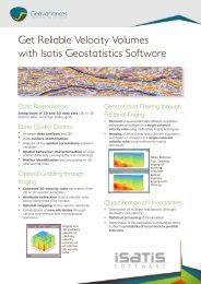 Draw the best of your seismic data with ISATIS - Geovariances