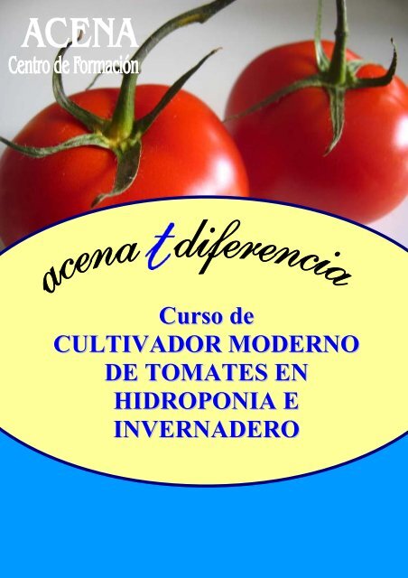 Curso de CULTIVADOR MODERNO DE TOMATES EN HIDROPONIA E INVERNADERO