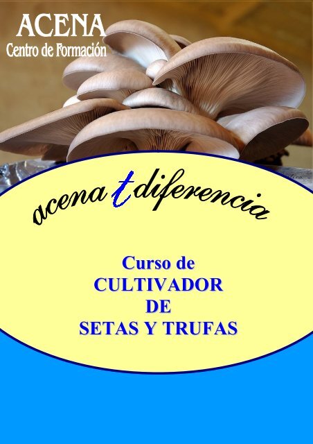 Curso de CULTIVADOR DE SETAS Y TRUFAS