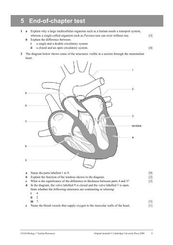 5 End-of-chapter test - Macmillan Academy