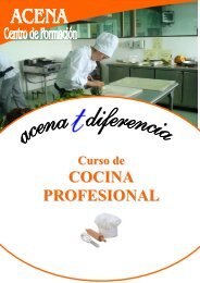 COCINA PROFESIONAL