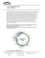 Product: OSDupDel.Neo Vector Catalog #: MES3974 The ... - Bioxys