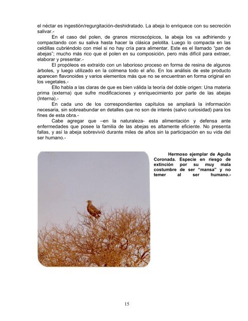 Apiterapia hoy.pdf - Mundial Siglo 21 MEDICINA BIOLÃGICA ...