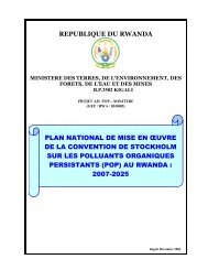 REPUBLIQUE DU RWANDA PLAN NATIONAL DE MISE EN ... - REMA