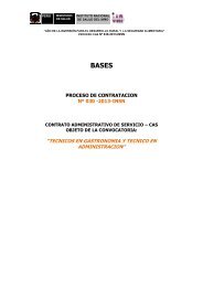 CAS_030_2013_ BASES - TECNICOS EN GASTRONOMIA Y ...