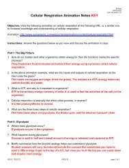 Cellular Respiration Animation Notes KEY