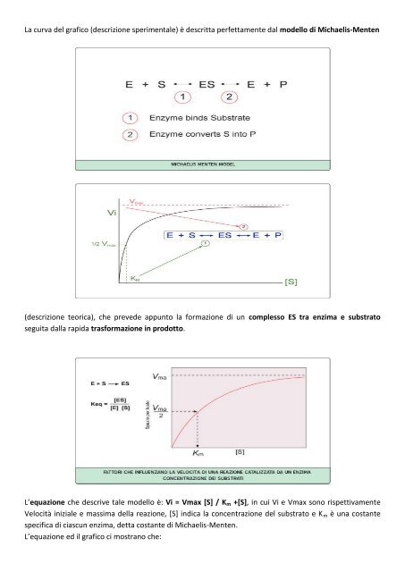 MODULO 2 – ENZIMI CARATTERISTICHE ... - life and fitness