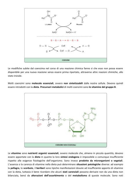 MODULO 2 – ENZIMI CARATTERISTICHE ... - life and fitness