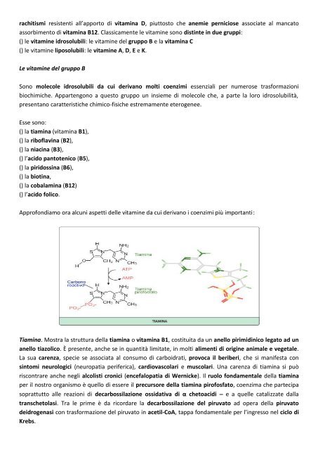 MODULO 2 – ENZIMI CARATTERISTICHE ... - life and fitness