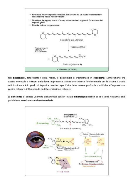 MODULO 2 – ENZIMI CARATTERISTICHE ... - life and fitness