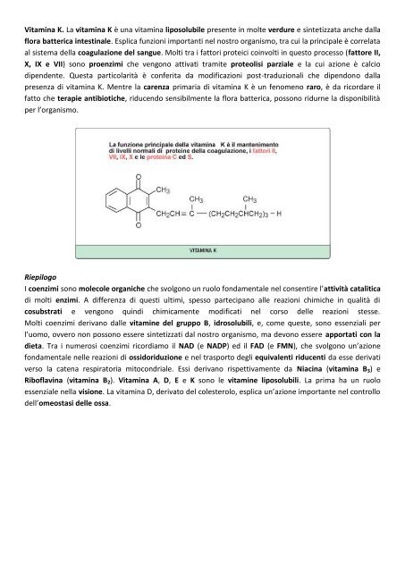 MODULO 2 – ENZIMI CARATTERISTICHE ... - life and fitness