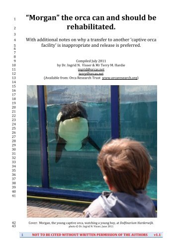 âMorganâ the orca can and should be rehabilitated. - Free Morgan ...