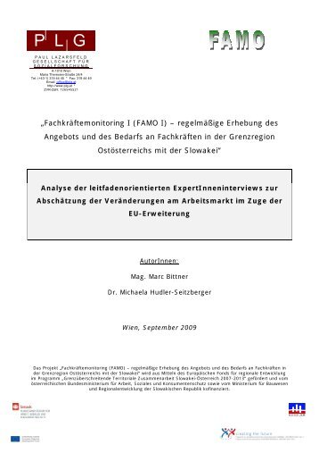 Analyse der leitfadenorientierten ExpertInneninterviews zur ...