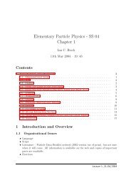 Elementary Particle Physics - SS 04 Chapter 1