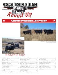 February 2009 Issue - Cornhusker Gelbvieh Round Up