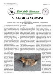 VIAGGIO A VORMSI di Silvio SpanÃ² - NÂ° 7 - giornale della beccaccia