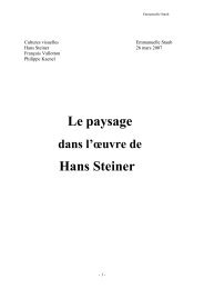 Le paysage Hans Steiner