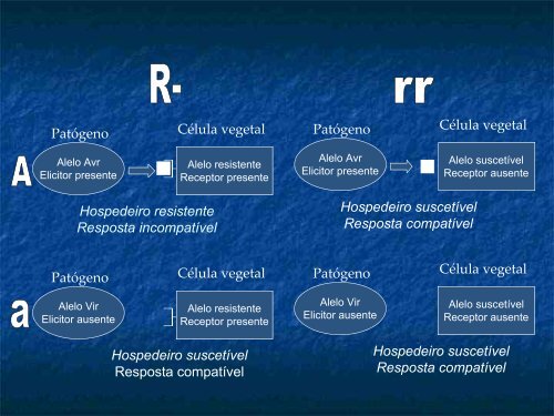 Melhoramento para Resistência a Doenças