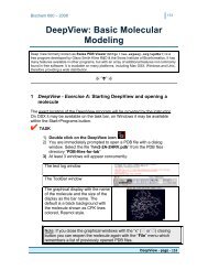 DeepView: Basic Molecular Modeling - Institute for Molecular Virology