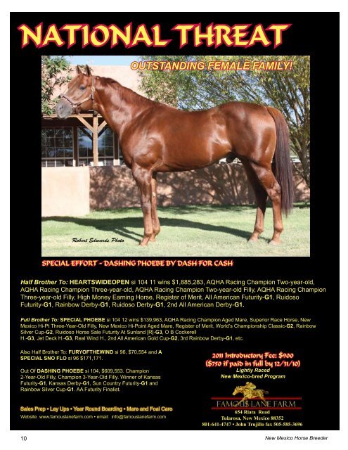 New Mexico State Fair - New Mexico Horse Breeders Association