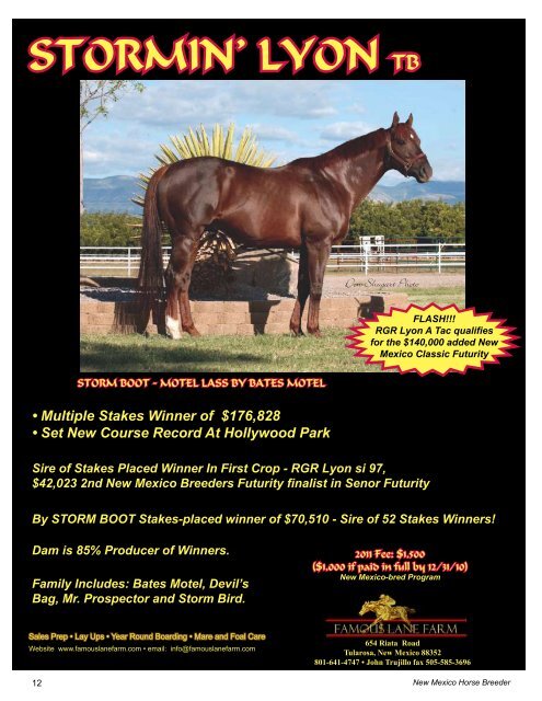 New Mexico State Fair - New Mexico Horse Breeders Association