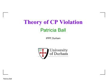 Theory of CP Violation - LNF