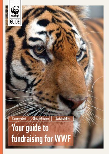 Your guide to fundraising for WWF - WWF UK