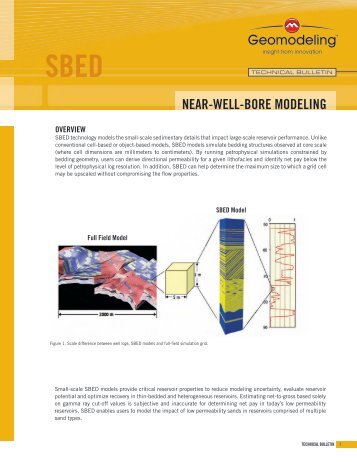 Near Well Bore Modeling - Net Brains